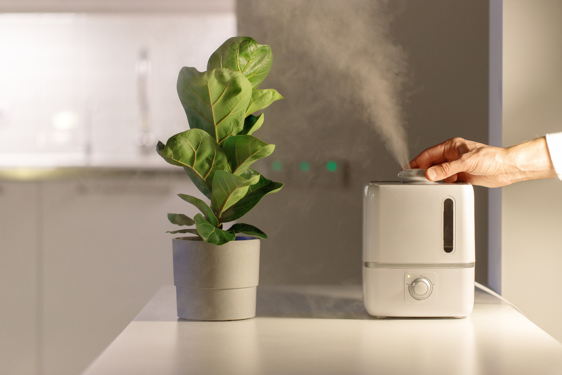 Person Activating Humidifier at Home
